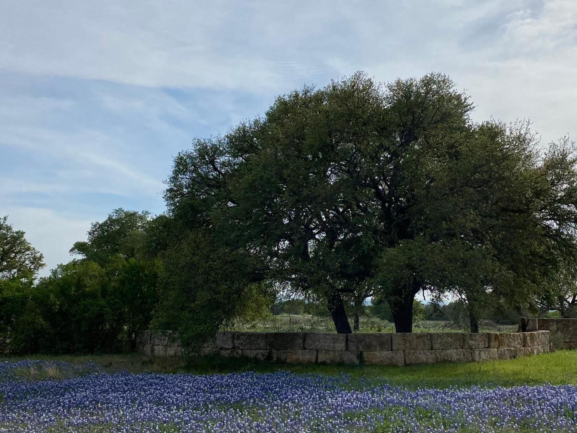 V700 Ranch Stays Marble Falls Exterior photo